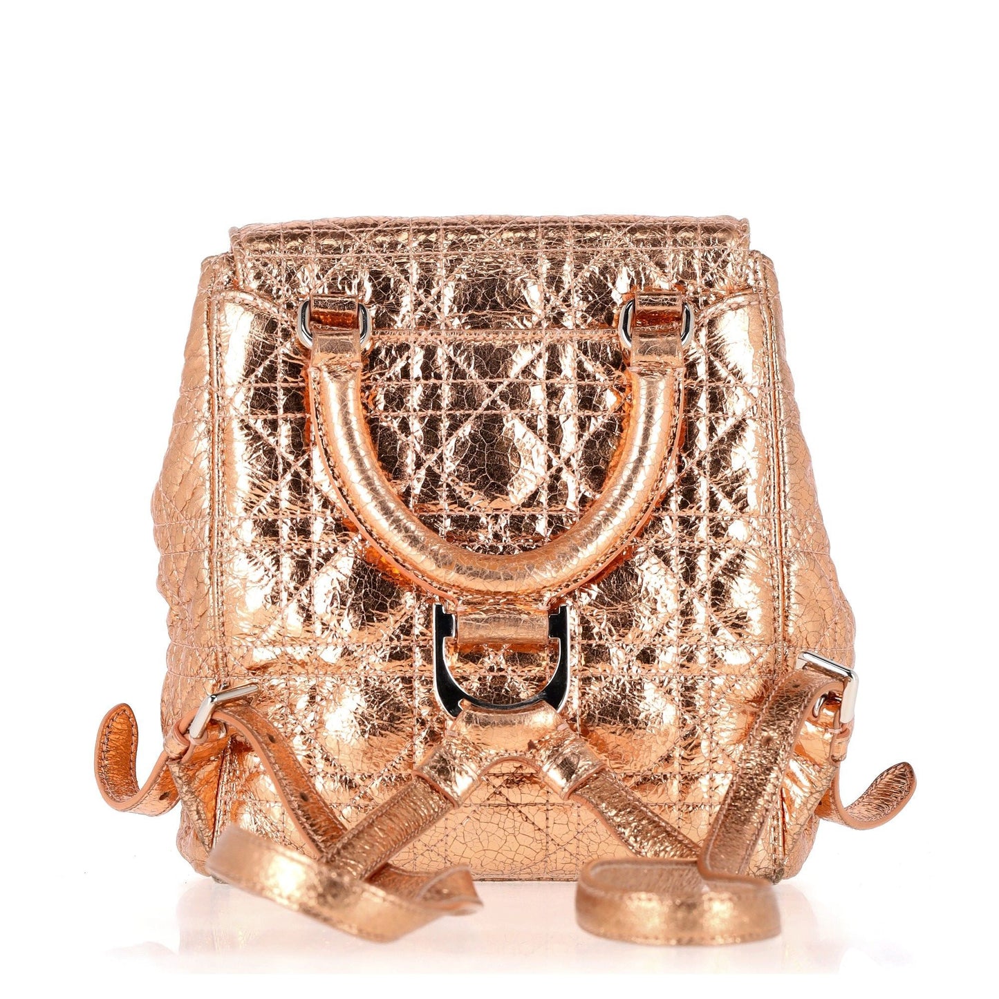 Dior travel bag