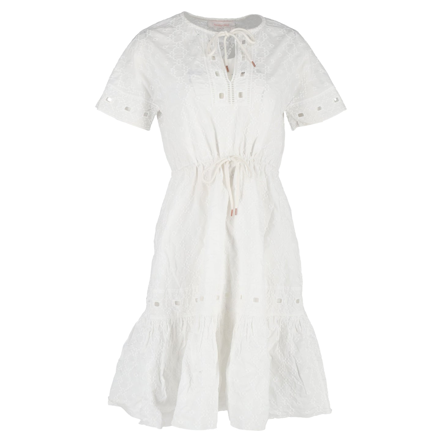 Chloé embroidered knee-length dress