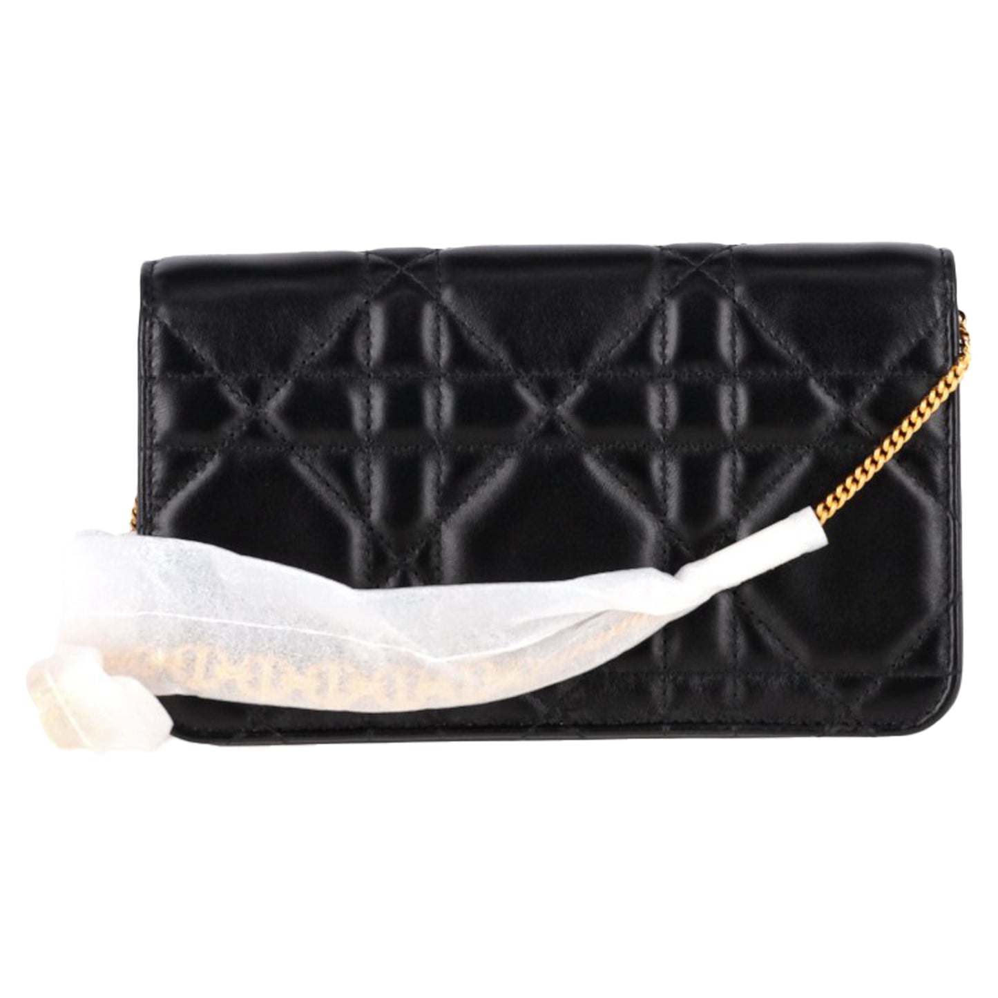 Dior crossbody bag