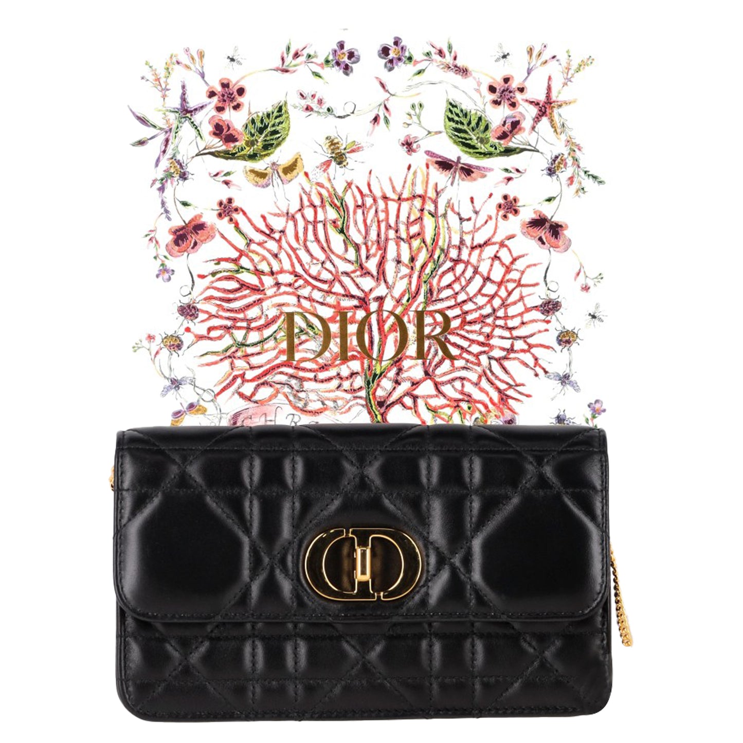 Dior crossbody bag